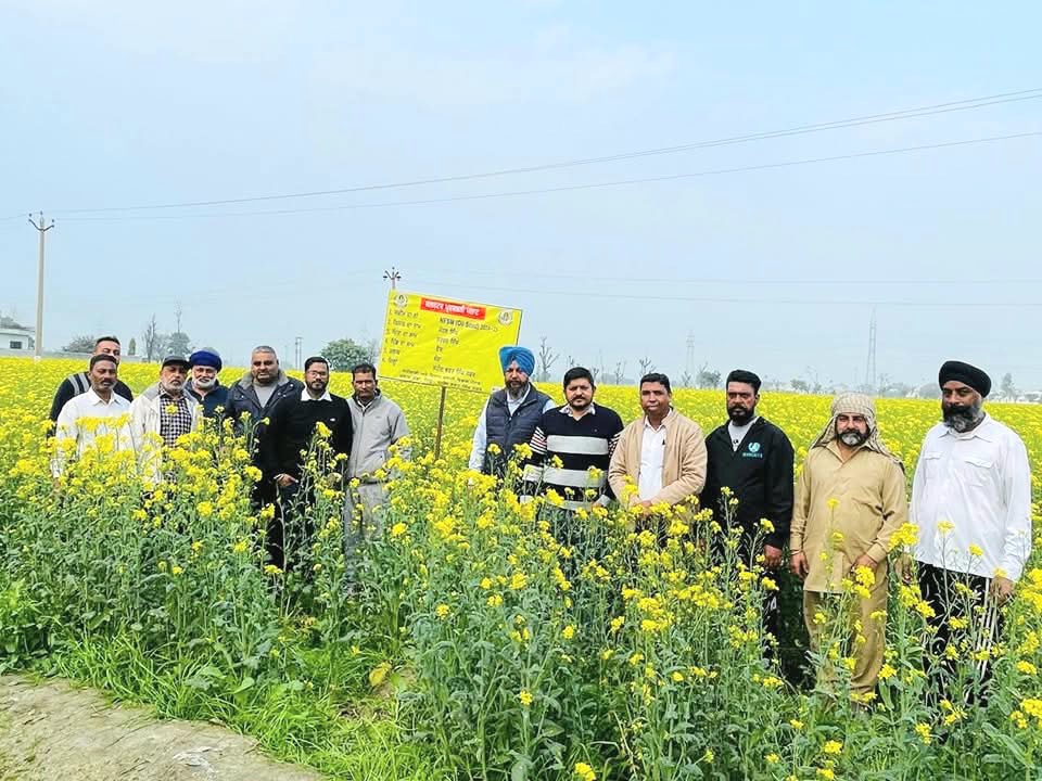 कृषि विभाग ब्लॉक बंगा ने तिलहनी फसलों पर प्रदर्शन प्लाट स्थापित किया